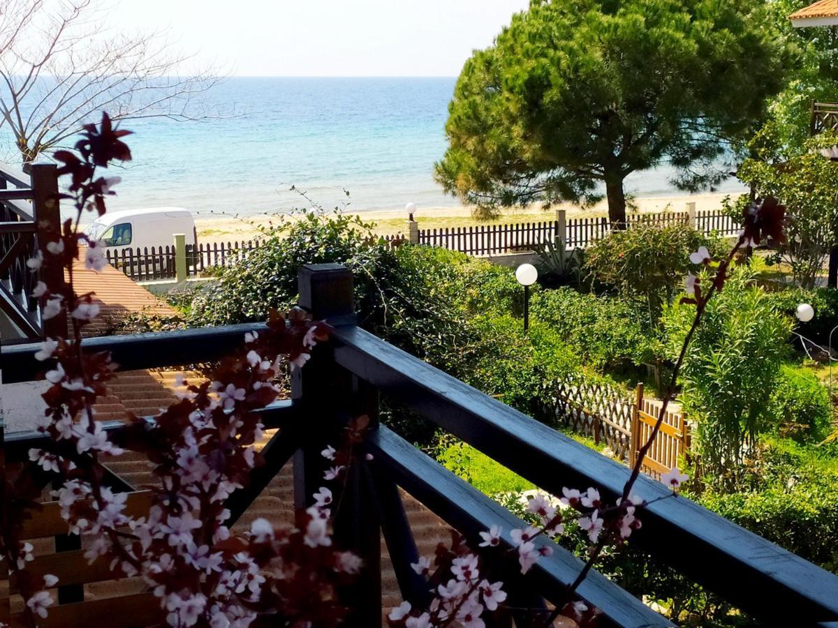 The Seaside Villas Nikiti  Exterior photo
